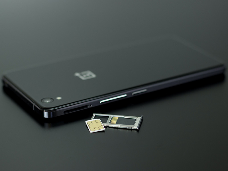 LINEMO SIMフリー eSIM USIM