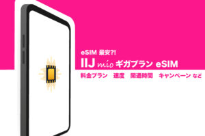 IIJmioギガプラン8ヶ月使ったレビュー記事